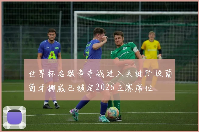 世界杯名额争夺战进入关键阶段葡萄牙挪威已锁定2026正赛席位